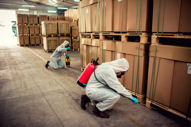 Best Ant Control Services  in Turpin Hills, OH