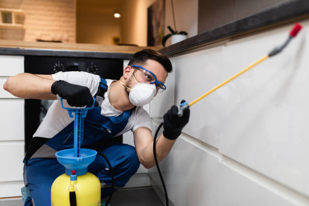 Professional Pest Control in Turpin Hills, OH