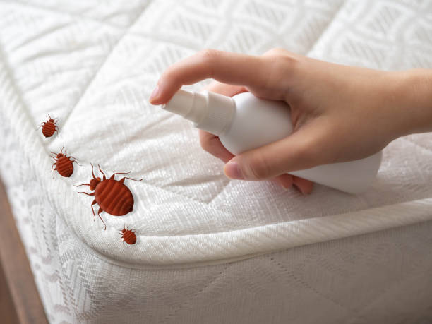 Best Ant Control Services  in Turpin Hills, OH
