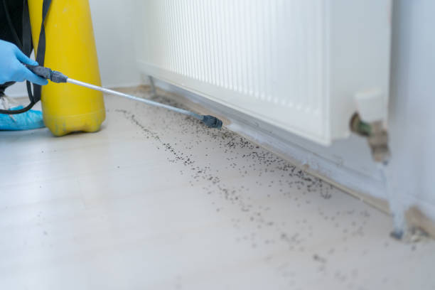 Best Emergency Pest Control  in Turpin Hills, OH